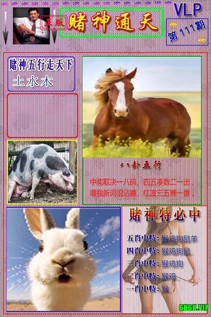 Img